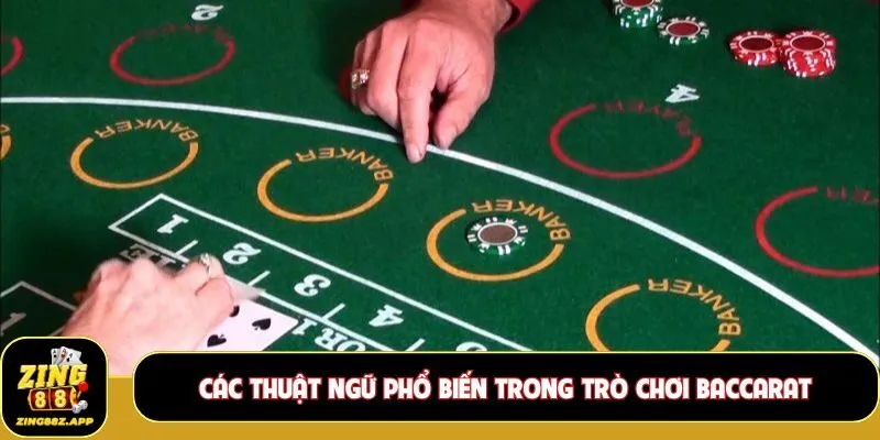 Các thuật ngữ phổ biến trong trò chơi Baccarat