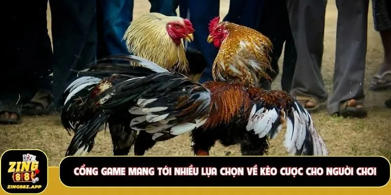Cổng game mang tới nhiều lựa chọn về kèo cược cho người chơi