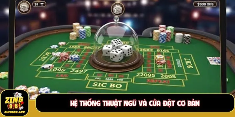 Hệ thống thuật ngữ và cửa đặt cơ bản